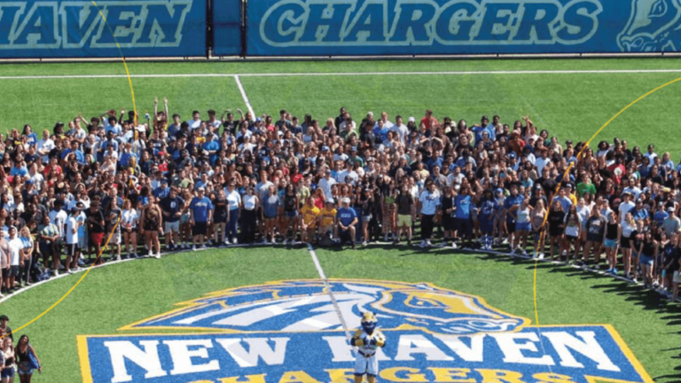 UNIVERSITY OF NEW HAVEN