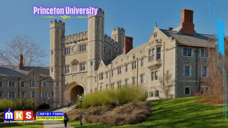 Princeton University