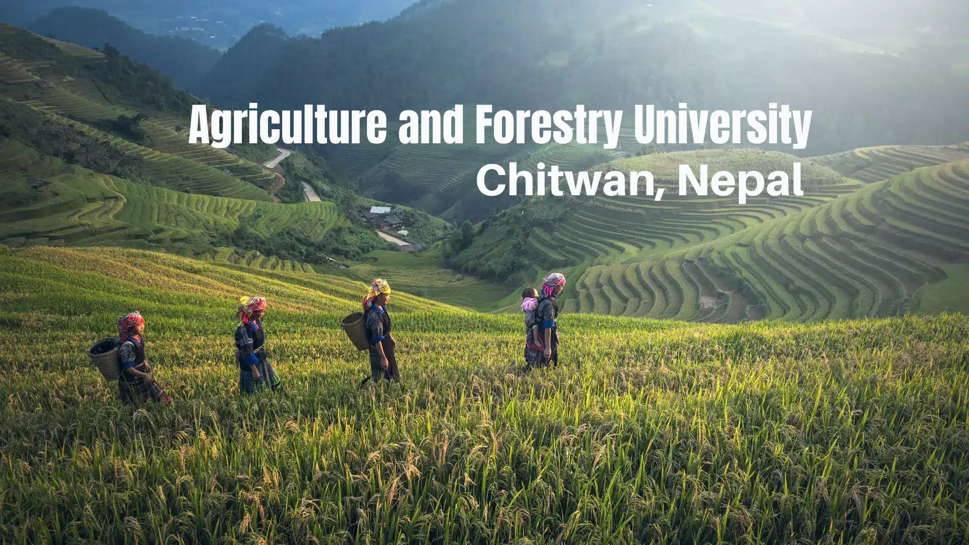 Agriculture and Forestry University 1 Agriculture and Forestry University